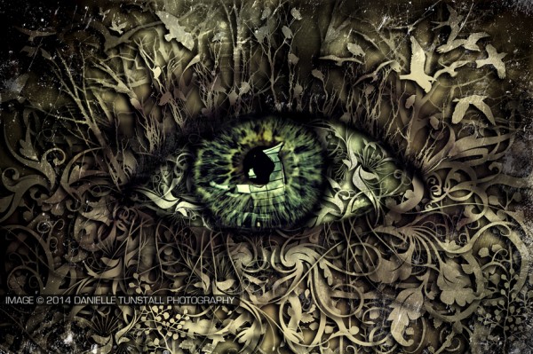 alexeye